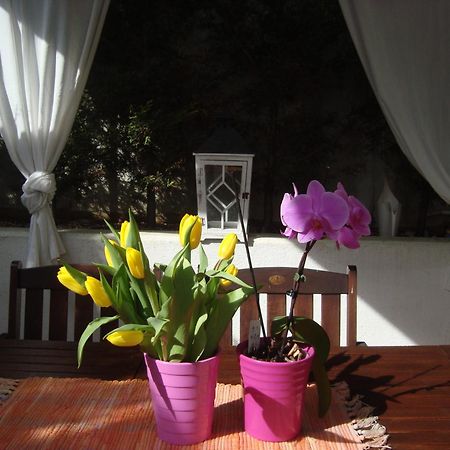 Apartment Villa Holiday II Пула Екстер'єр фото
